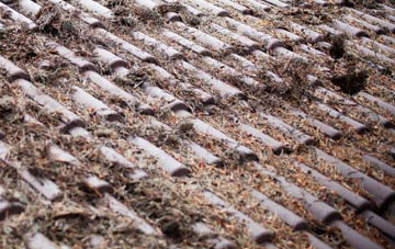 Seave Green roof cleaning companies